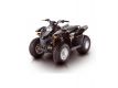 Aprilia Piaggio Gilera Vespa 50ccm Rotor (Polrad)